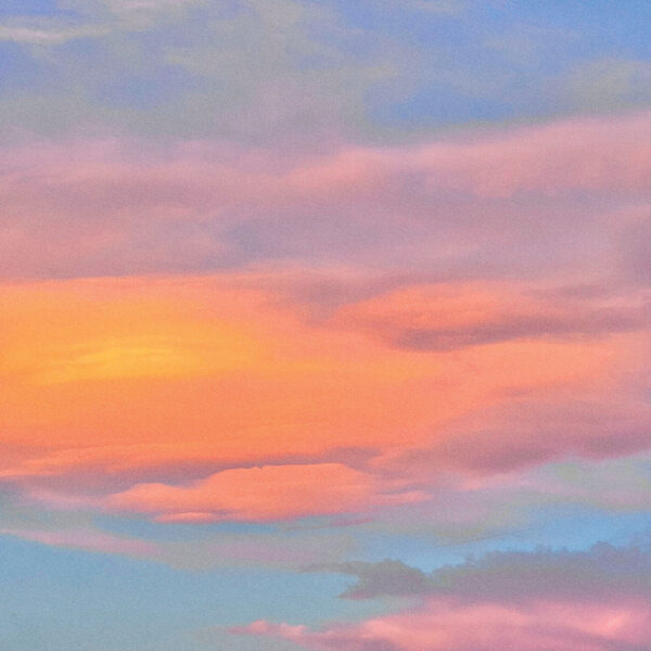 AVALANCHE Avalanche Package (Upgrade Only) - Morrison